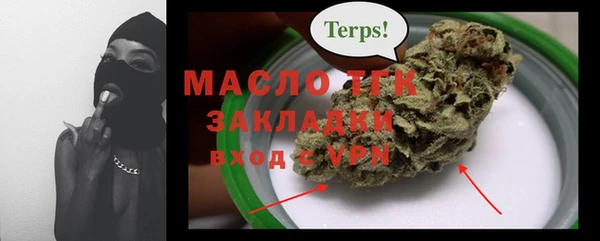 крисы Новодвинск