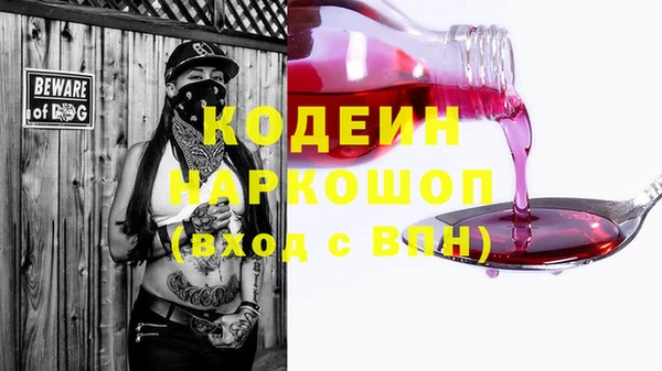 крисы Новодвинск