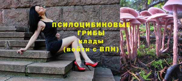 крисы Новодвинск