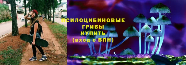 марихуана Новозыбков