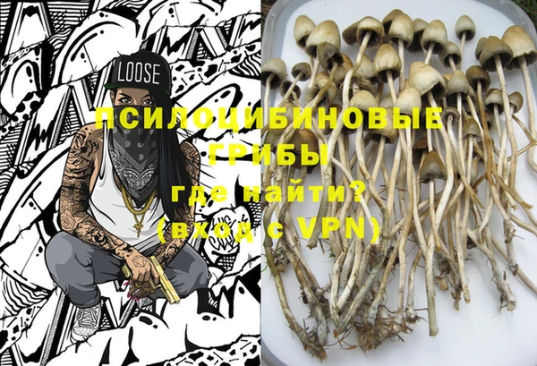 марихуана Новозыбков