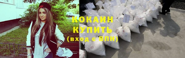 крисы Новодвинск