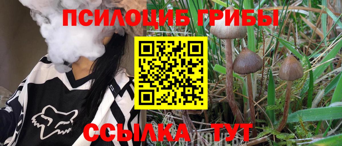 Галлюциногенные грибы прущие грибы  Вход с VPN  Псилоцибиновые грибы Psilocybe  Лиски 