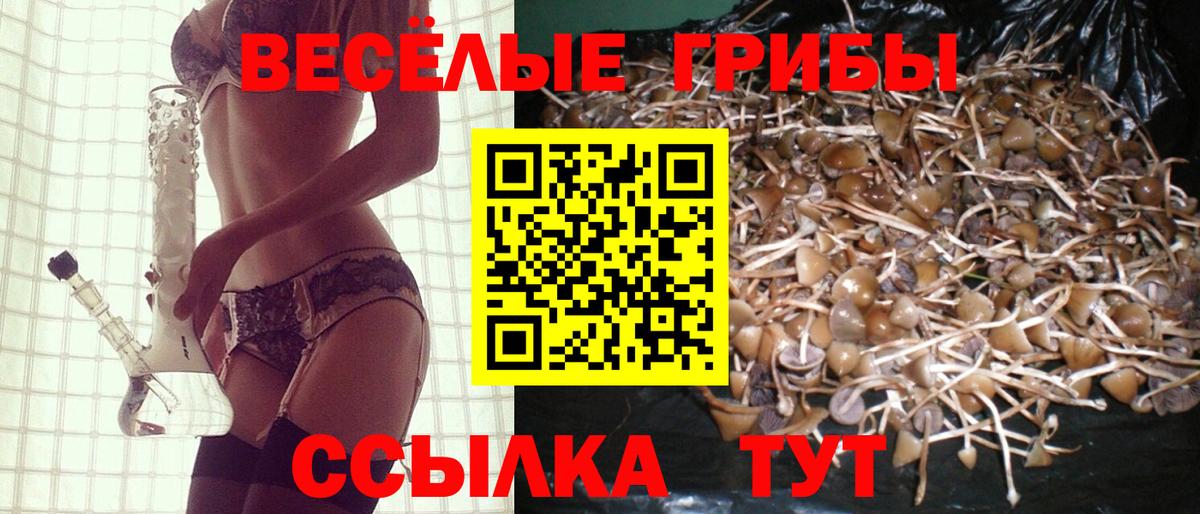 Галлюциногенные грибы GOLDEN TEACHER Лиски