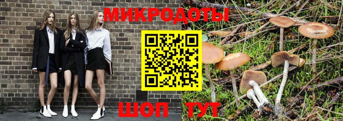 Псилоцибиновые грибы Psilocybine cubensis  Лиски  Галлюциногенные грибы Psilocybe 